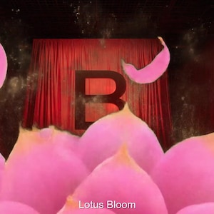 Lotus Blüte Stinger Übergang | Serene Flower VFX für Tracking optimiert