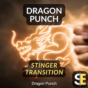 Op de afbeelding: Een digitale afbeelding met een vurige achtergrond, met een gloeiende oranje drakenillustratie en een gebalde vuist. Tekst bevat "DRAGON PUNCH" en "STINGER TRANSITION". Het logo "SE" staat rechtsonder.