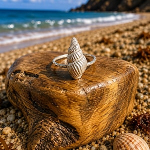 Peut inclure: Une bague en argent ornée d'un pendentif en forme de coquillage en spirale texturé. L'anneau de la bague présente une finition martelée, et le coquillage est détaillé avec des stries verticales et une pointe, reflétant un éclat métallique.