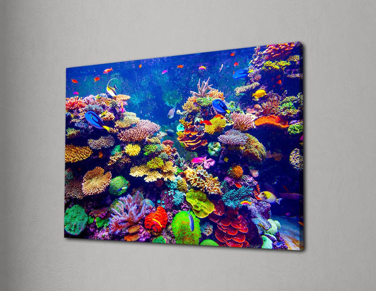 魚とサンゴの油彩画.個展購入 il_fullxfull.6916797960_b2oq.jpg