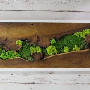 Moos und Holz Wandkunst, Naturholz Kunst, Moos Wandkunst, Gerahmte Wand Holz Kunst, Wanddekor Karte, Rustikale grüne Wand Dekoration, Geschenkidee