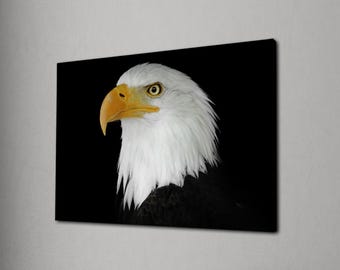 Bald Eagle Portrait Canvas, Powerful Eagle Wall Art, Patriotic Wildlife Decor, Rustic Animal Print, Nature Lover Gift for Office or Home