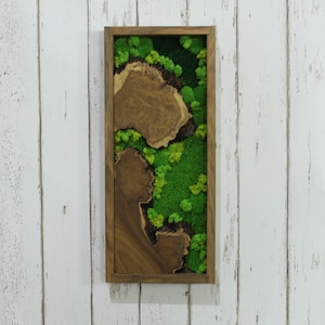Naturholz Wandkunst, Moos Wandkunst, gerahmte Kunst, Wanddekorkarte, rustikale grüne Wanddekoration, Hauswanddekoration, hölzerne Kunstwerke