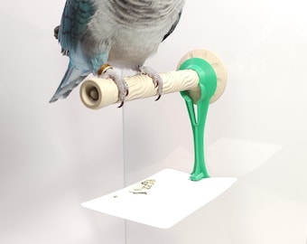 Pode incluir: Um papagaio azul claro e cinzento empoleirado num poleiro bege texturizado. O poleiro é suportado por um suporte de plástico verde e bege. Uma prateleira branca está localizada abaixo do poleiro.