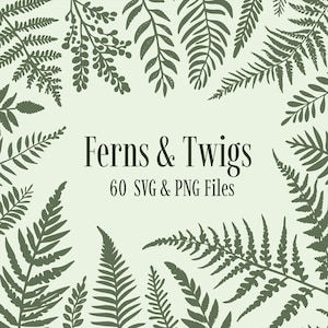 Puede incluir: Un diseño digital con un fondo verde claro, enmarcado por ilustraciones de helechos y ramitas verde oscuro. El texto "Ferns & Twigs" está centrado, con "60 SVG & PNG Files" debajo. El diseño tiene un tema natural y botánico.