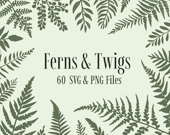 Ferns Leaves SVG Bundle, Botanical PNG Graphics, Twigs Branches Clipart Fern Clipart Botanical Illustrations Digital Download Commercial Use