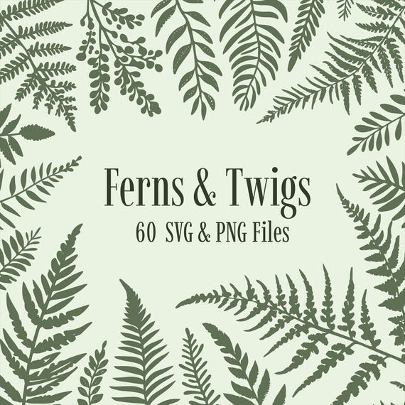 Ferns Leaves SVG Bundle, Botanical PNG Graphics, Twigs Branches Clipart Fern Clipart Botanical Illustrations Digital Download Commercial Use