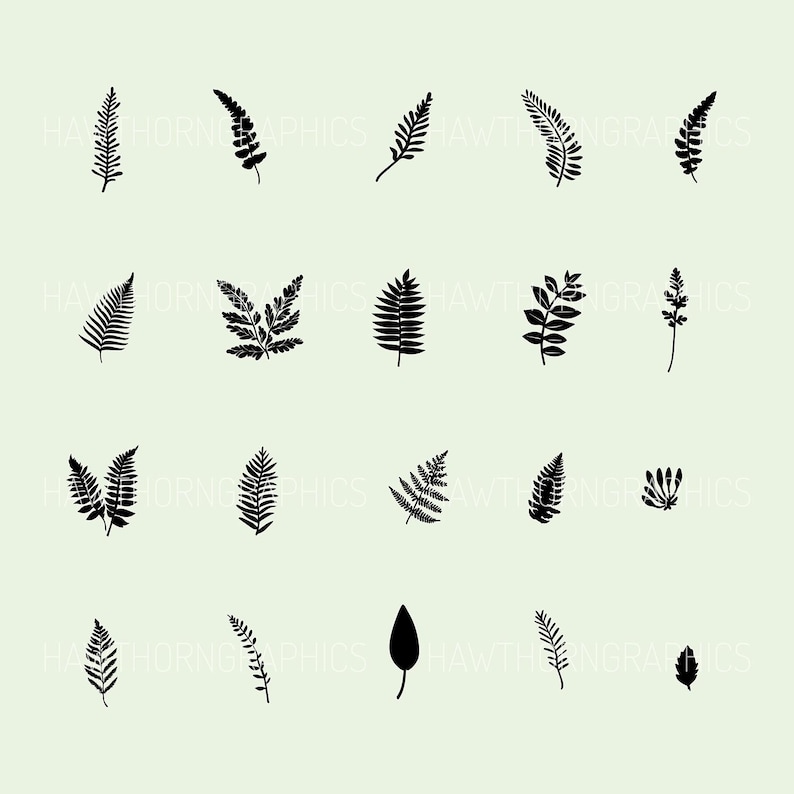 Vector graphics featuring botanical illustrations of ferns, leaves and twigs. A design bundle of 60 SVG & PNG files available for digital download after purchase.