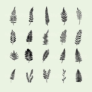 Vector graphics featuring botanical illustrations of ferns, leaves and twigs. A design bundle of 60 SVG & PNG files available for digital download after purchase.