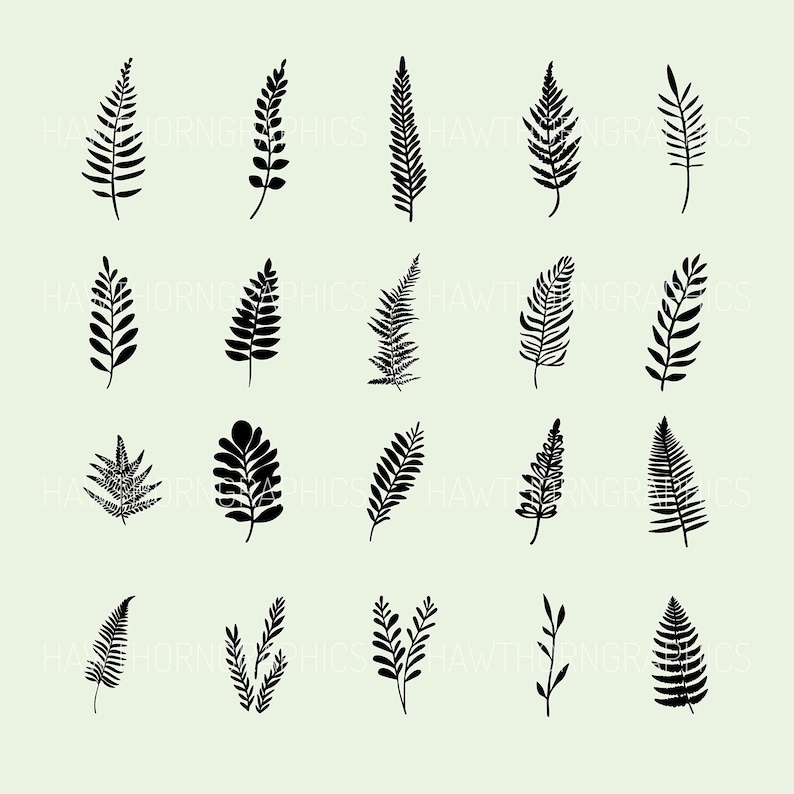 Vector graphics featuring botanical illustrations of ferns, leaves and twigs. A design bundle of 60 SVG & PNG files available for digital download after purchase.