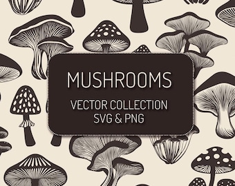 Mushroom SVG Bundle, 40 Mushroom PNG Clipart, Minimalistyczne nowoczesne grzyby, Fungi Clipart, Botaniczne ilustracje grzybów, Wykorzystanie komercyjne