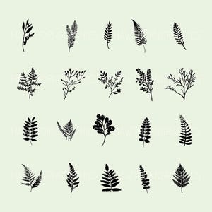 Vector graphics featuring botanical illustrations of ferns, leaves and twigs. A design bundle of 60 SVG & PNG files available for digital download after purchase.