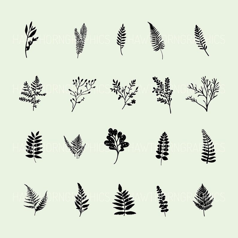 Vector graphics featuring botanical illustrations of ferns, leaves and twigs. A design bundle of 60 SVG & PNG files available for digital download after purchase.