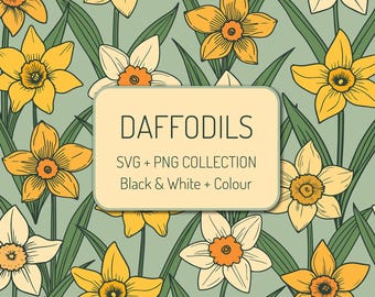 Pakiet Daffodil SVG, Daffodil PNG, Clipart z kwiatami wiosennymi, Wielkanoc SVG, Clipart z żonkilem, Ilustracja botaniczna z kwiatami do użytku komercyjnego