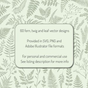 Vector graphics featuring botanical illustrations of ferns, leaves and twigs. 
60 fern, twig and leaf vector designs.
Provided in SVG, PNG and Adobe Illustrator file formats.
For personal and commercial use. See listing description for more information.