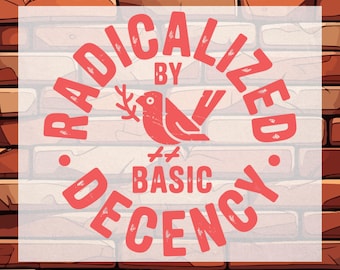 Radicalized By Basic Decency Heat Transfer: Feminist Activist Design