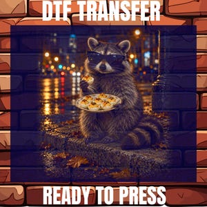 May include: A DTF transfer ready to press featuring a graphic of a raccoon wearing black sunglasses, holding a plate of deviled eggs. The raccoon is positioned against a blurred city street background with a brick border and the text DTF TRANSFER READY TO PRESS.