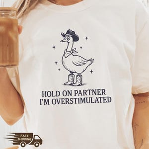 Im Overstimulated Shirt, Cowboy Funny Goose Shirt, Unhinged Shirt, Cowboy Frog Shirt, Retro Goose Tee, Weirdcore Shirt, Goose Sweatshirt