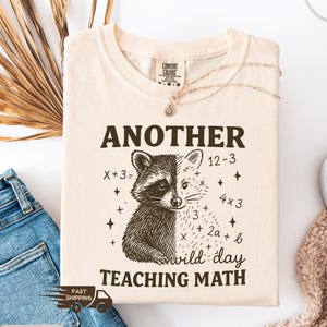 May include: Ivory-colored t-shirt with a raccoon graphic split in half, featuring the text "ANOTHER wild day TEACHING MATH." The shirt includes math equations and star accents. A necklace and a pair of jeans are visible in the background.