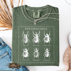 May include: A moss green t-shirt featuring a white entomology graphic with six detailed beetle illustrations and the word "ENTOMOLOGIA". The shirt has a crew neck and short sleeves. A silver necklace with a pendant is draped across the shirt.