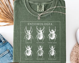 Bug Lover Shirt, Vintage Beetle Hoodie, Insect Lover Tee, Nature Illustration Sweater, Entomology Teacher Shirt, Insect Art Pullover Hoodie
