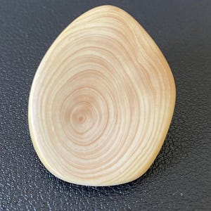 May include: A light-colored, teardrop-shaped wooden object with visible growth rings. The wood has a natural, warm tone, and the grain pattern is prominent. The object is smooth and polished, with a slightly rounded edge.