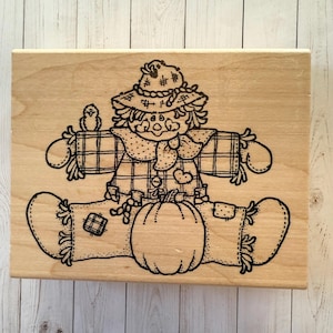 May include: A black and white line drawing of a scarecrow sitting on a pumpkin. The scarecrow is wearing a plaid shirt, a hat with a rope trim, and has a bird perched on its arm.