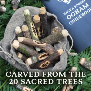 Celtic Runes Ogham-stokken uit Corresponding Woods – Waarzeggerijset met zakboom, gids en tas