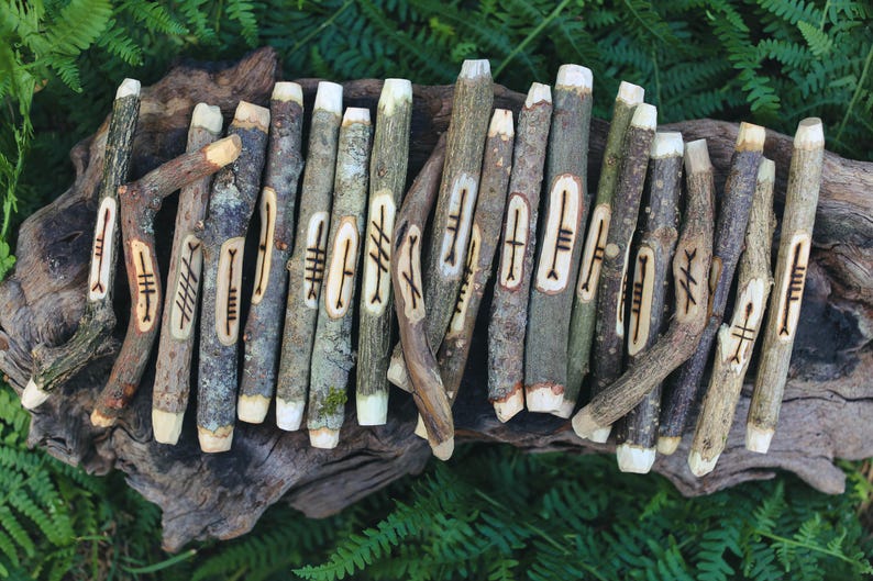 Celtic Ogham Staves Corresponding Woods: Tree Divination With Guidebook ...