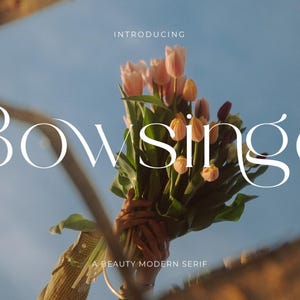 Bowsinge Font - Serif Font, Modern Font, Boho Font, Branding Font, Swash Font, Fonts for Cricut, Bohemian Fonts, Cricut Fonts