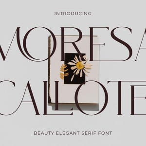 Moresa Callote Font - Serif Font, Modern Font, Boho Font, Branding Font, Swash Font, Fonts for Cricut, Bohemian Fonts, Cricut Fonts