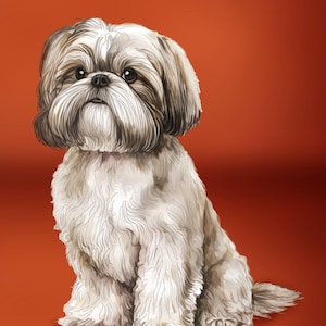DT-Foust Exclusive DX-4824-3C-1 Multi - Shih Tzu Panel (35.5&quot; x 45&quot;).  100% Cotton Fabric Panel.