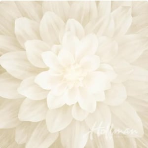 Hoffman Dream Big Floral Panel Ivory. 100% Cotton Fabric Panel.