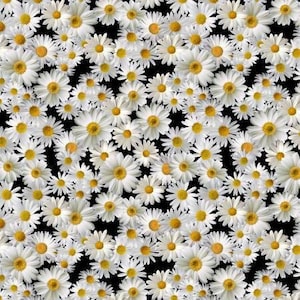 Puede incluir: Un patrón sin costuras de margaritas blancas con centros amarillos sobre un fondo negro.