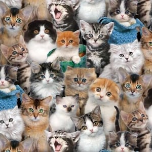 Multi Cats 3809 Elizabeth Studio. 100% Cotton Fabric by The Half Yard.