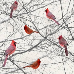 May include: Five red cardinals perched on bare branches against a white background. The cardinals are in various poses, some facing the viewer, some facing away. The branches are thin and delicate, creating a sense of wintery beauty.