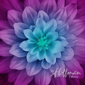 Hoffman Dream Big Floral Panel Aurora.