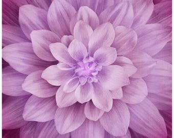Hoffman Dream Big bloemenpaneel magenta