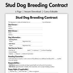 Puede incluir: Documento blanco titulado "Stud Dog Breeding Contract" con texto negro. El documento incluye secciones para el propietario del semental, el propietario de la perra, información del perro, términos del servicio de semental, garantía de cría, responsabilidades y derechos del cachorro.