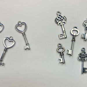 以下が含まれることがあります： ハート、装飾的な渦巻き、シンプルな形など、さまざまなデザインの銀色のキーチャームのコレクション。これらのチャームは、ジュエリーやクラフトにヴィンテージの魅力を加えるのに最適です。