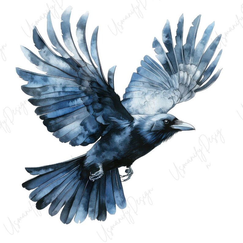 May include: Watercolor illustration of a raven in flight, wings spread wide. The bird is depicted in shades of blue and black, with detailed feather textures. The raven is set against a clean white background.