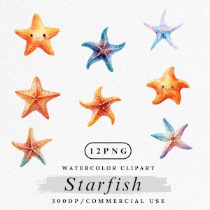 Starfish Clipart, Watercolor Starfish PNG, Ocean Sea Life, Beach Shell Clip Art, Nautical Marine Animal PNG Bundle, Coastal Decor Digital