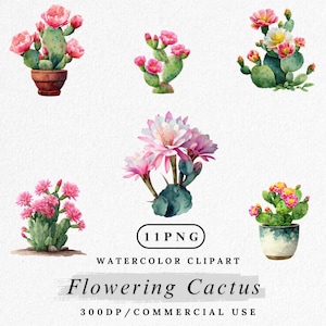 Flowering Cactus Clipart, Watercolor Cactus PNG, Blooming Desert Plant, Succulent Flower Clip Art Set, Botanical PNG, Scrapbook Images