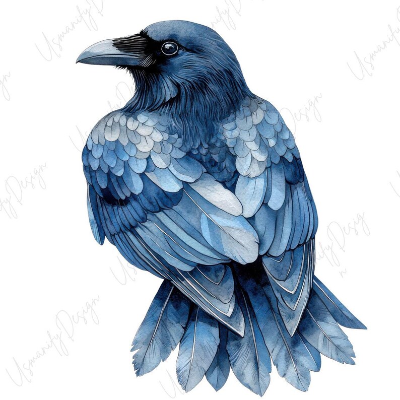 May include: Watercolor illustration of a blue raven with detailed feather textures. The bird is depicted in profile, showcasing its dark beak and eye. The artwork features shades of blue and gray, creating a realistic and artistic representation of the bird.