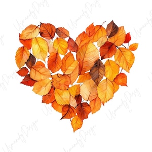 May include: A heart shape composed of autumn leaves in shades of orange, yellow, and brown. The leaves are arranged closely together, creating a textured and detailed design. The image is set against a white background, highlighting the vibrant colors of the leaves.