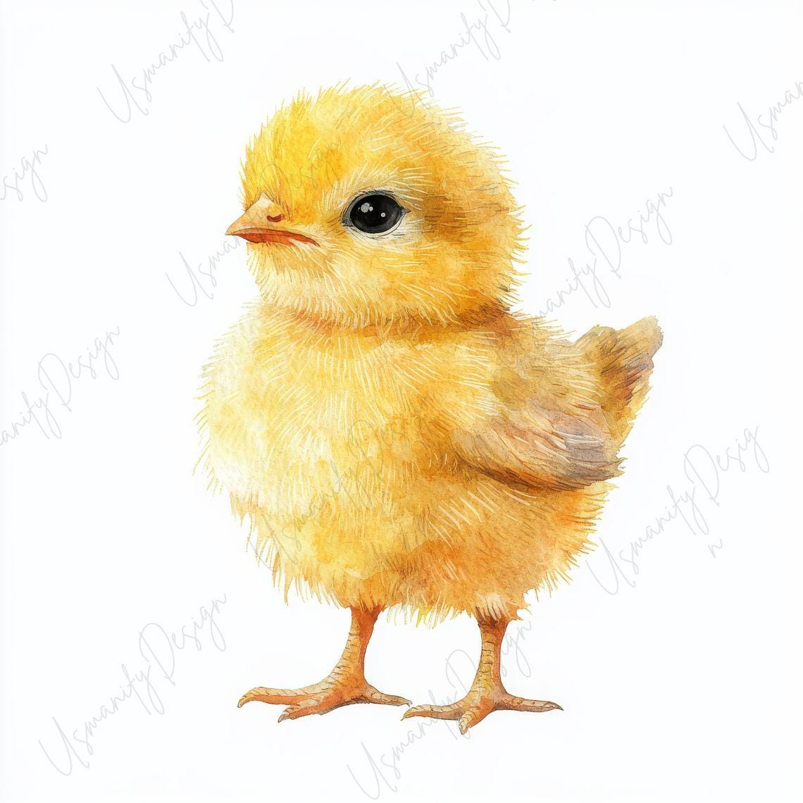 16 Watercolor Baby Chick Clipart JPG, Cute Easter Chick Illustration ...