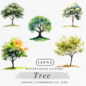 Könnte beinhalten: Aquarell-Clipart-Set mit fünf verschiedenen Baumillustrationen. Die Bäume sind in Grün-, Gelb- und Orangetönen gemalt, mit detailliertem Laub und Stämmen. Der Text "16 PNG", "Watercolor Clipart", "Tree" und "300DP/COMMERCIAL USE" ist enthalten.