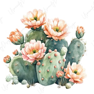 May include: Watercolor illustration of a cactus with multiple pads and peach-colored flowers. The cactus is a mix of green and blue-green hues, with small pink dots. The flowers have yellow centers and are in various stages of bloom.