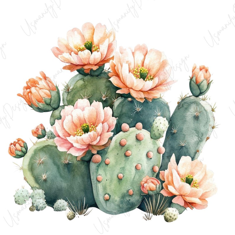 May include: Watercolor illustration of a cactus with multiple pads and peach-colored flowers. The cactus is a mix of green and blue-green hues, with small pink dots. The flowers have yellow centers and are in various stages of bloom.