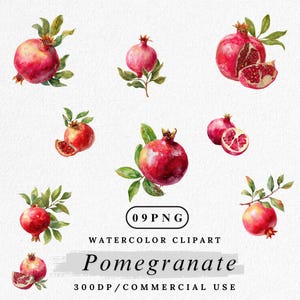 Peut inclure: Clipart à l'aquarelle représentant plusieurs illustrations de grenades. Les images présentent des grenades entières et tranchées avec des feuilles vertes. Le texte "09 PNG", "Watercolor Clipart", "Pomegranate" et "300DP/COMMERCIAL USE" est également inclus.